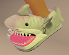 Shark shoes F