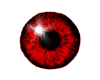 [DJ]Eyes Red M