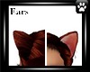 *SA* Cat ears foxy