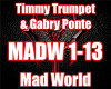 Timmy Trumpet-Mad World