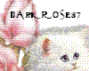 Kittycat with rose