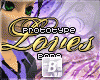 b| Prototype Loves Bone