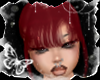 Stella cherry