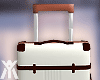 YA.Suitcase