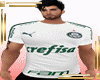 PALMEIRAS 2019