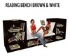 Read Books on Bench