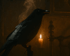 𝓛  POE Mobile Bg