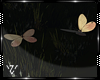 ▲Vz' Butterfly