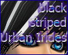 black striped Urban Irid