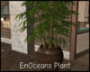 *EnOceans Plant