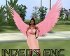 {IND} Pink Wings