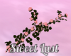 Sweet Lust Roses IV