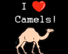 Camel Tee
