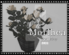 [MLA] Flowers no poses