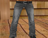 Country Gray Jeans