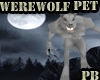 {PB}WerewolfPetBuddieM/F