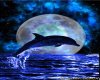 Dolphin and blue moon
