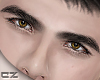 cz ★ brows#4