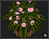 Flower Barrel  -4-