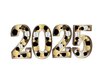 2025 New Year Deco