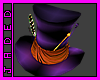 ~Mad Hatters Hat