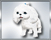Dog Puppy M