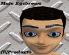 [R]Male Eyebrows