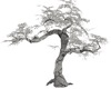 Kwen White Tree