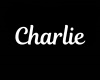 Charlie Belly Ring/F