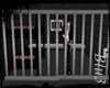Jail (prison break)