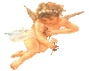 JR Animated Angel
