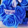 Blue rose Baby T shirt