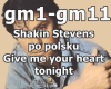 S.Stevens po polsku Give
