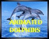 *Hs*ANIMATED DOLPHINS 