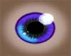 Multicolor rim eyes