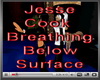 1 Jesse Cook - Breathing