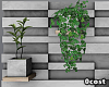 Wall Plant