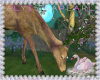 Nature Fawn 2