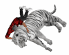 FA:&eth;��&middot; Bengal Tiger