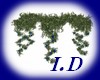 I.D PLANTS GAZEBO