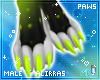 🌸; Ori Paws