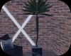 Indoor PalmTree