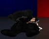Black Cuddle Bear