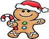 Cotout / Natal /F