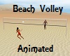 Beach Volley Animated