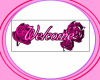Welcome / Pink Roses