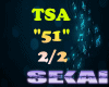 *S TSA 51 (2/2)