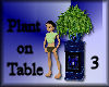 [my]Plant on Table 3