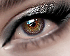 (B) Xoxo Makeup # 1 !