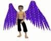 Purple Glitter Wings
